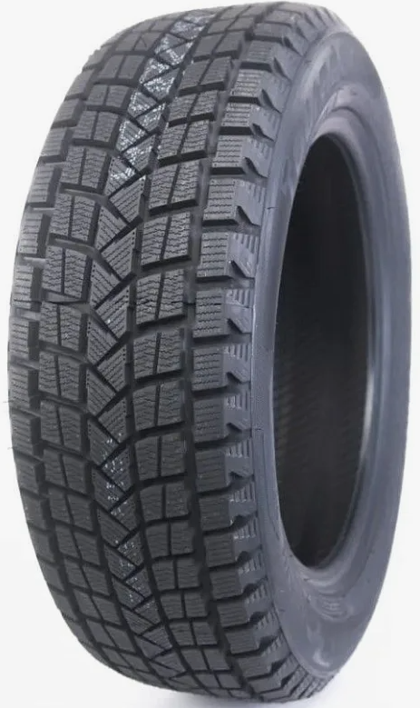 Winter Pro TSS1 255/60 R19 113H