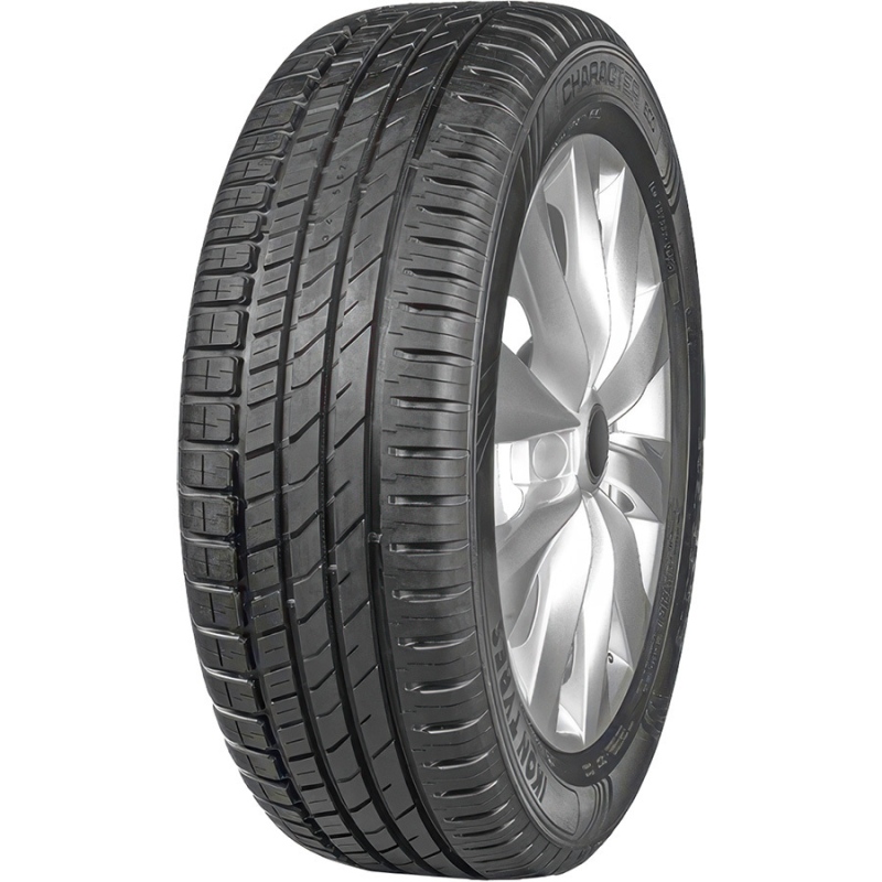 Шины Ikon Tyres Character Eco 205/55 R16 91H