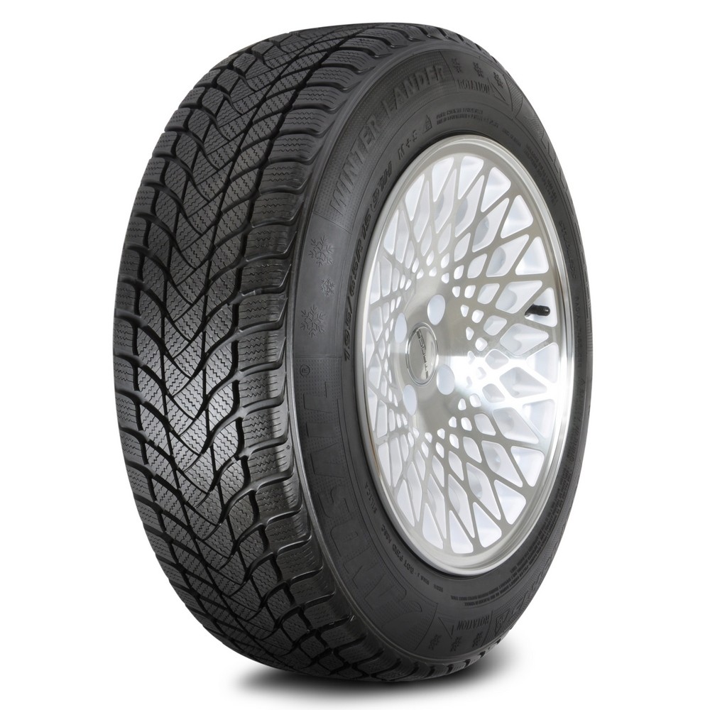 WINTER LANDER 195/55 R15 85H