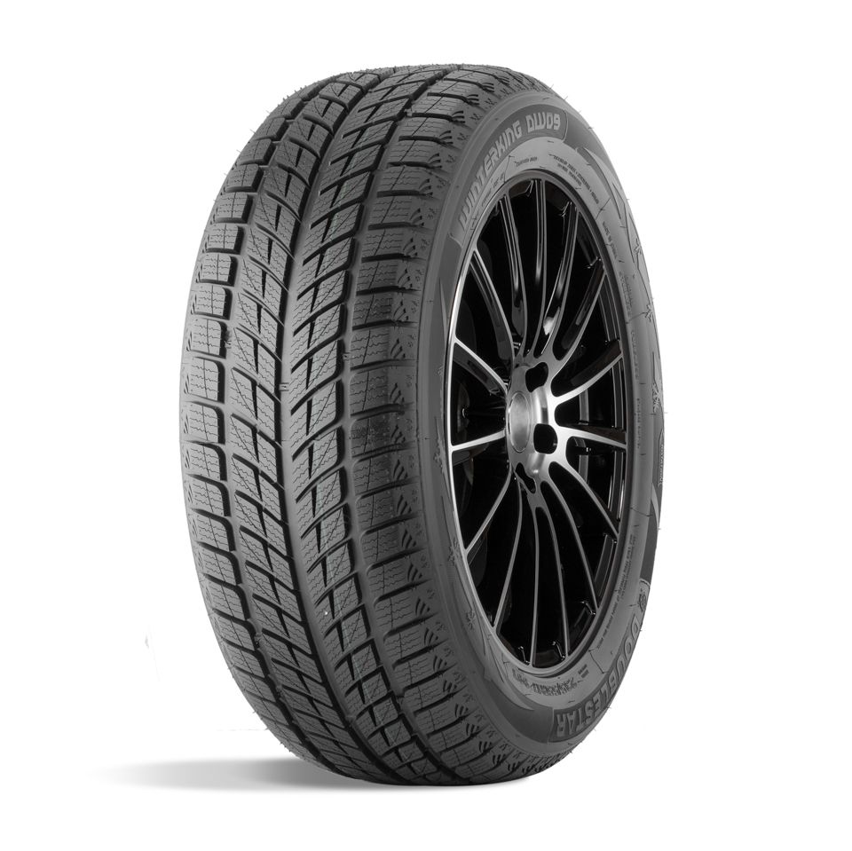 DW09 275/40 R20 106V