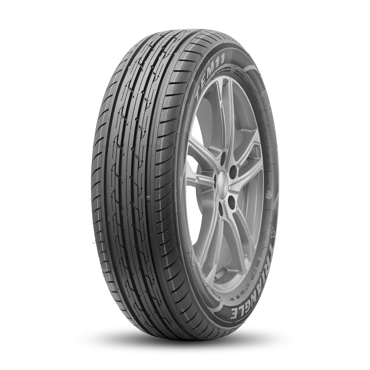 TE301 165/65 R14 79H