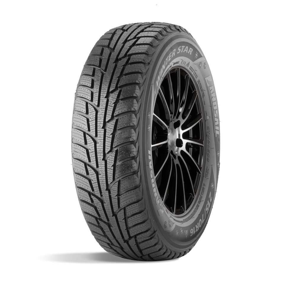 Winter Star 225/65 R17 102H