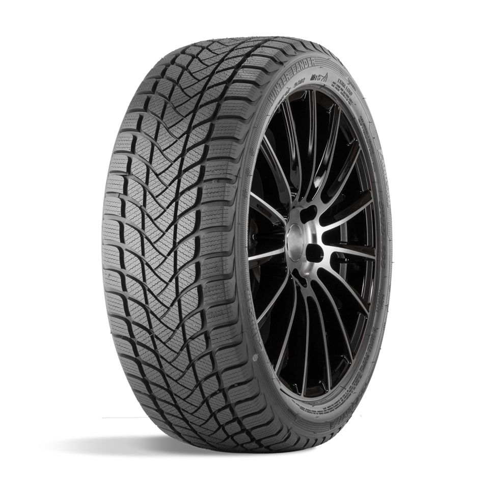 Winter Lander 255/55 R20 107H
